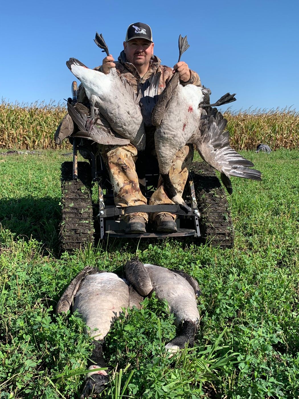 A hunter using a tracked wheelchair sits behind a row of harvested geese in a field.